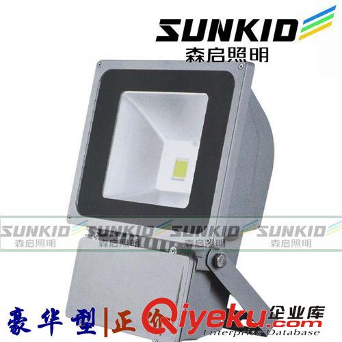 户外led广告灯70w100w 投光灯围墙灯草坪灯灯庭院灯LED投光灯射灯