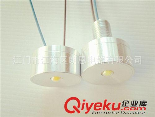 LED大功率1W点光源白暖白蓝绿紫红光