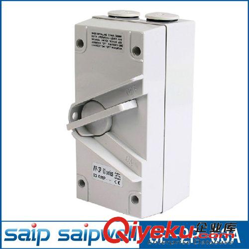 赛普直销2P63A户外防水隔离开关 安全开关 负荷开关 赛普正品