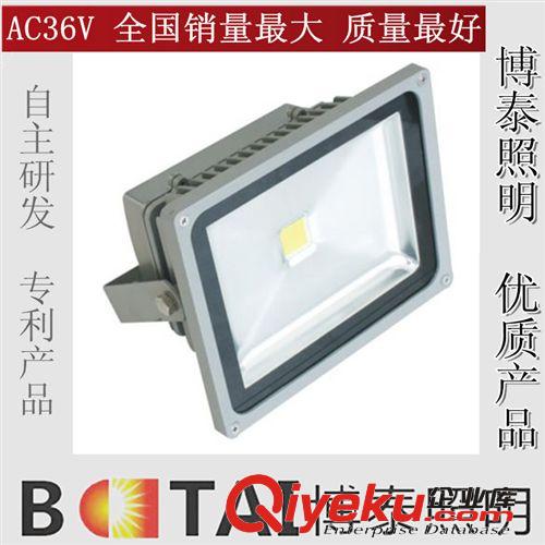 供应AC36V投光，led-投光灯生产厂家