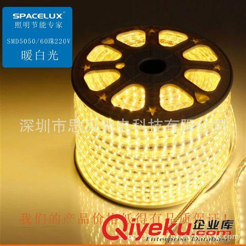 一米60珠防电防水高压5050LED贴片灯带 柔性 软灯条220v厂家直销