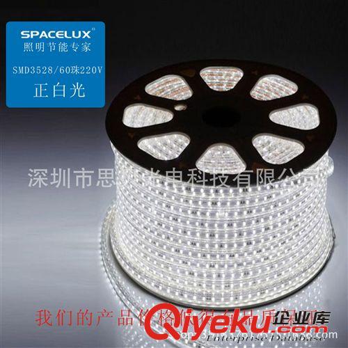 一米60珠防电防水高压3528LED贴片灯带 柔性 软灯条220v厂家直销