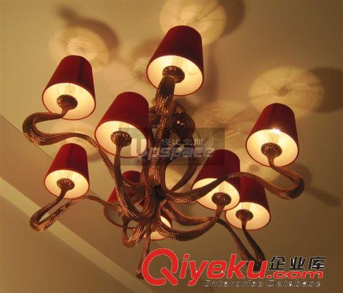 现代吸顶灯 Modern Designer Ceiling Lamp 家居装饰灯 设计师灯