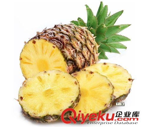 厂家供应  菠萝果粉Pineapple fruit powder 含商检