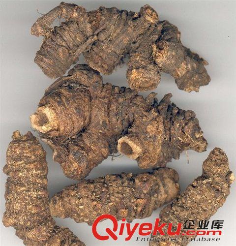 厂家优质供应 羌活提取物 10:1（cissus repens extract ）