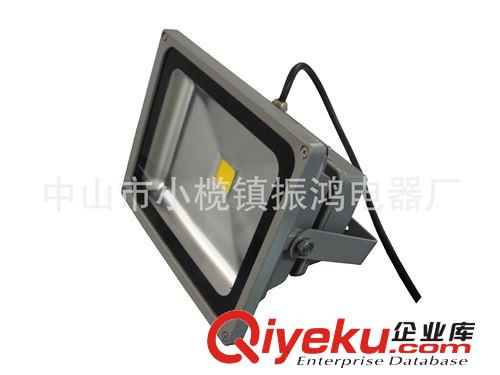 工业 家电 可用  LED集成  投光灯10W