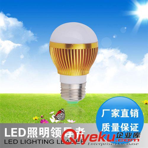 厂家直销led灯泡3W 5W 7W 12w led球泡灯批发 超级节能LED球泡灯