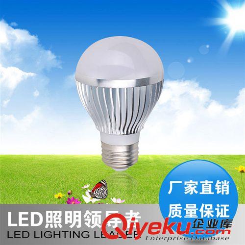 厂家 供应铝件LED球泡灯5瓦等 LED室内照明灯具 LED灯泡