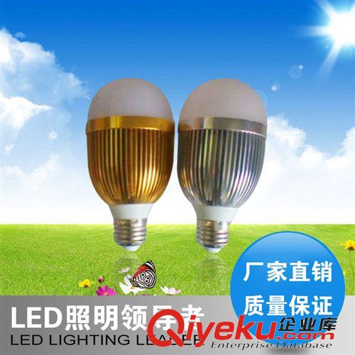 LED灯具 供应铝件LED球泡灯节能灯泡 LED蜡烛灯 LED拉尾 卧室灯