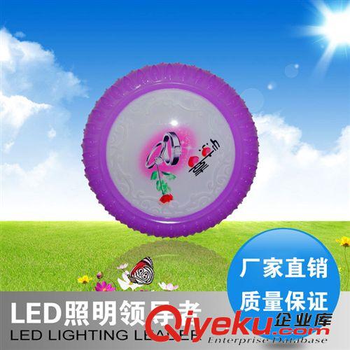 亚克力 现代简约惊喜新款LED吸顶灯 LED铁艺吸顶灯 客厅LED灯