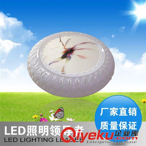 【好运】LED吸顶灯 现代客厅灯 简约卧室书房创意苹果灯 灯饰灯具