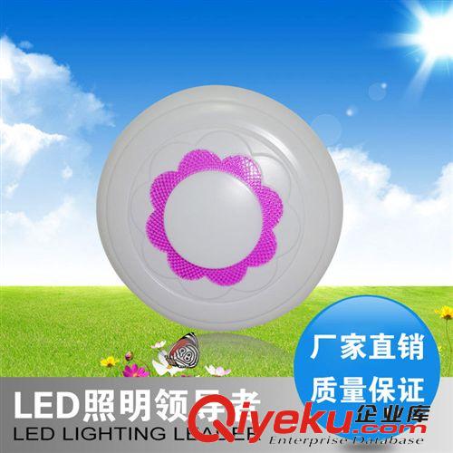 亚克力 LED卧室吸顶灯 LED面板灯 LED吸顶灯