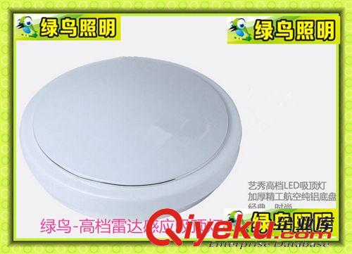 专业生产低压12V48V127V LED  声光控球泡 声光控吸顶灯