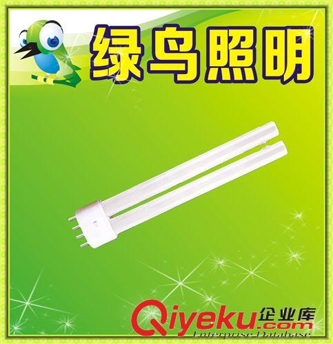 厂家直销 低压节能灯 110V-127V低压节能灯127V H管 低压H管