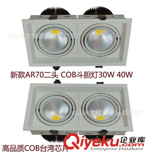 新款AR70二头 COB斗胆灯 COB单头 15W 20W 开孔230*125mm工程照明