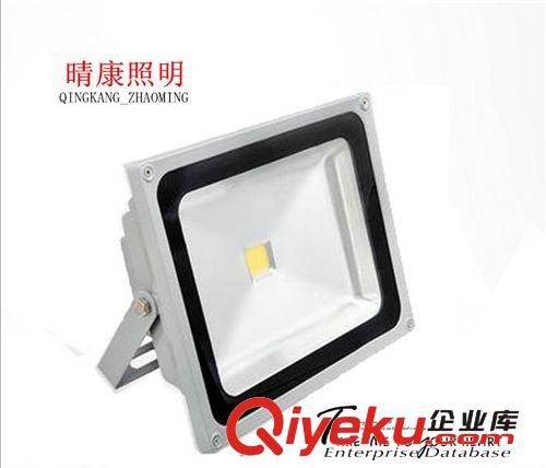 50W投光灯LED 50W投光灯 泛光灯 户外亮化专用/防水
