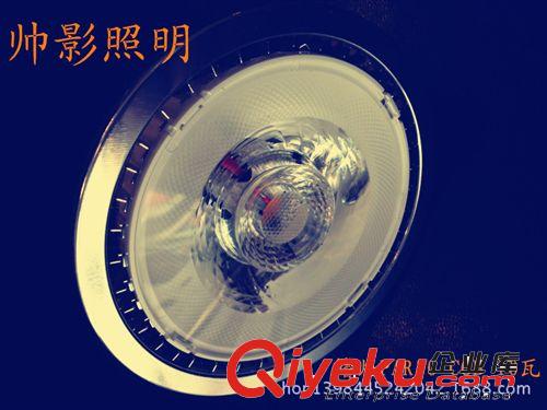 鳍片LED散热器PAR30 COB成品