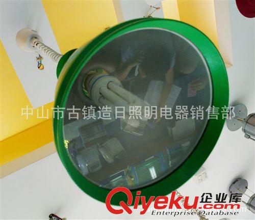 超市生鲜灯蔬菜水果灯具，直径230MM，绿色装25WE27升降吊线灯。
