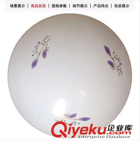 专业生产 供应吸顶灯 LED吸顶灯 铝材灯客厅灯卧室灯 欢迎致电