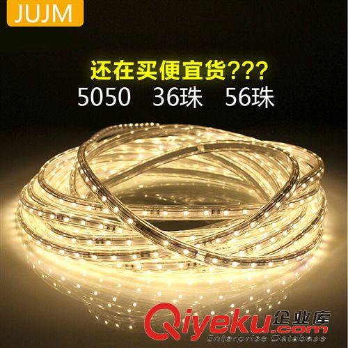 高压60珠防电防水高压5050LED贴片灯带软灯条220v暗槽灯