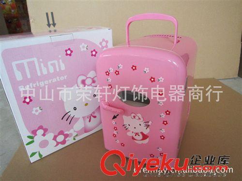 车用，家用电子冷热冰箱，保鲜冰箱
