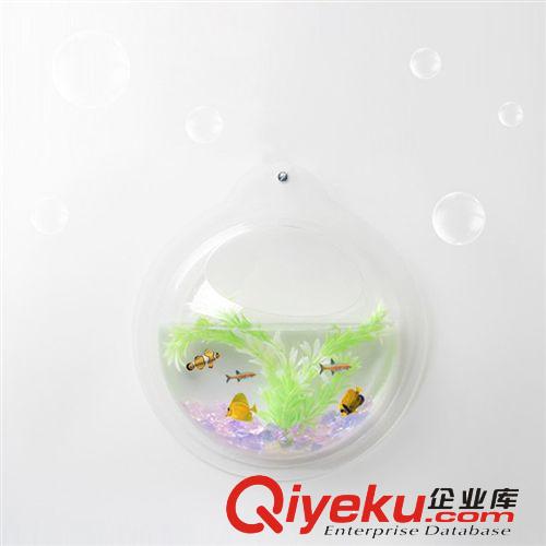 透明生态迷你壁挂鱼缸 中号圆形亚克力鱼缸