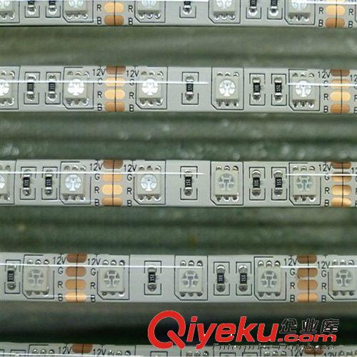 厂家供应低压防水12V 5050滴胶贴片灯带 每米60灯