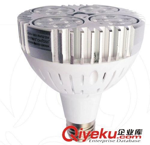 LED   PAR灯 P30 厂家直销