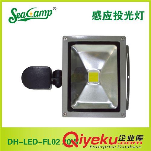 【高品质】供应大海照明感应投光灯DH-LED-FL02 20W厂家批发