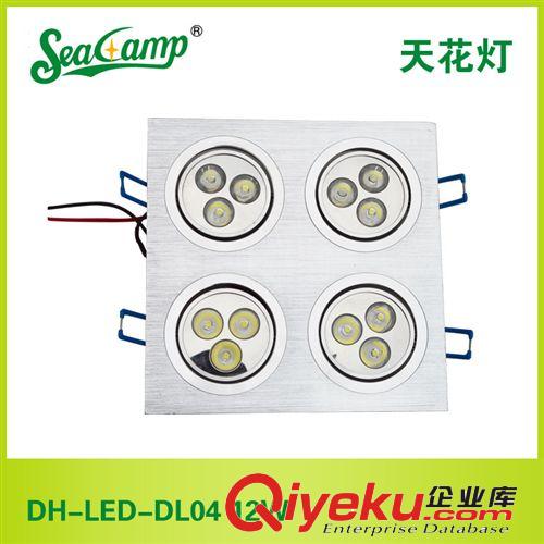 【商城xx】供应大海照明12W天花灯 DH-LED-DL04 led天花灯