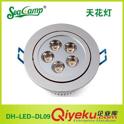 【企业集采】供应大海照明 DH-LED-DL09  led天花灯 厂家批发