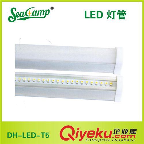 供应大海照明DH-LED-T5节能日光照明灯管 led日光灯 厂家批发