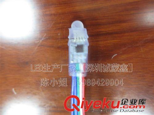 深圳DMX512全彩灯串批发