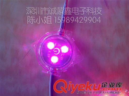 LED5050防水点光源