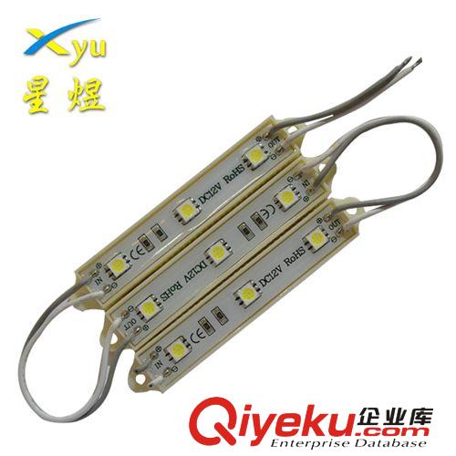 供应50-60LM 高亮 5050全彩LED贴片防水模组 led广告模组