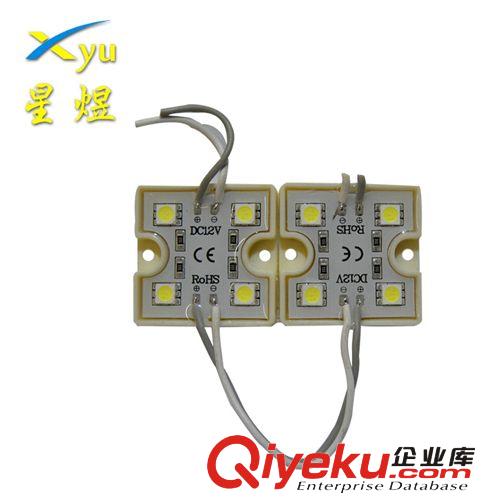 广州led模组工厂热销led5050贴片模组系列批发 4灯防水 36*36mm