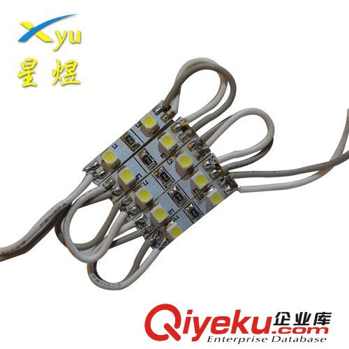 led模组厂家专业提供 各种优质led3528模组 树脂字专用小两灯