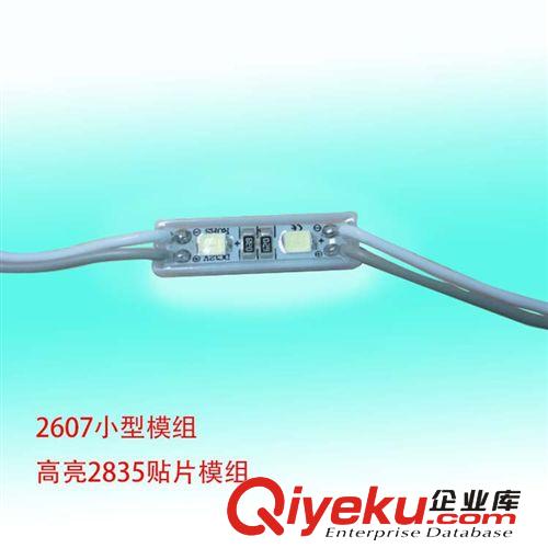 【企业集采】LED超高亮2835模组 2灯防水贴片模组 led防水模组
