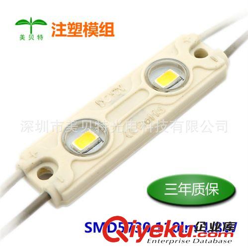5730注塑模组  两灯 DC12V 1.8W注塑背光模组 带透镜金属字用灯