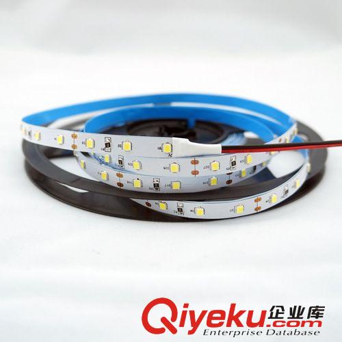 LED装饰灯串 单灯22-25lm 替代5050 2835软灯带