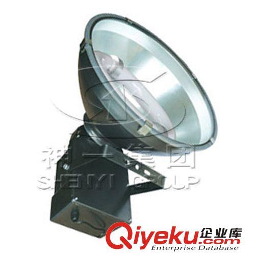 小圆165圆投光灯 低频无极灯专用广告灯具 防护等级IP65