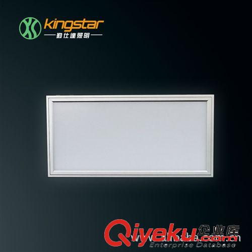 LED平板灯 LED面板灯 600*300MM 24W  方形面板灯