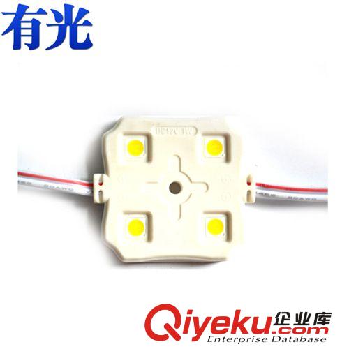 led注塑模组\4灯注塑防水模组