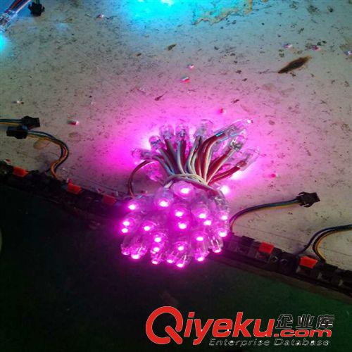 【高端品质】高亮特种颜色 LED粉红色外露字灯串 LED广告防水灯串
