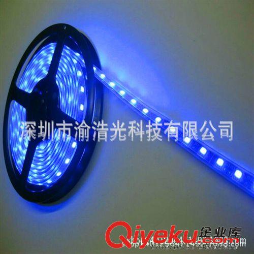 厂家直销 LED软灯条 5050软灯带 LED软灯条 5050灯带灯条 12V