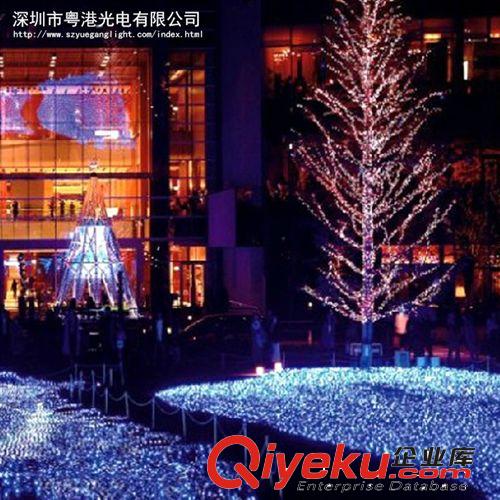 LED网灯彩灯闪灯串灯 庭院装饰彩灯 室外景观装饰灯 1.5 1.5网灯