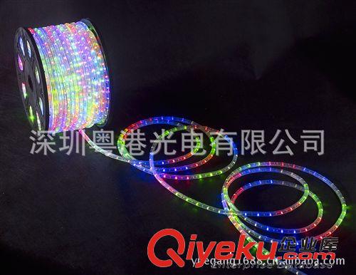 LED圆二线线彩虹管 灯带 灯条 霓虹灯 彩灯圣诞装饰灯24灯/米