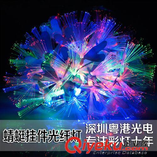 热卖新款 led彩灯 光纤灯串 蜻蜓串灯 婚庆彩灯 圣诞灯节日灯