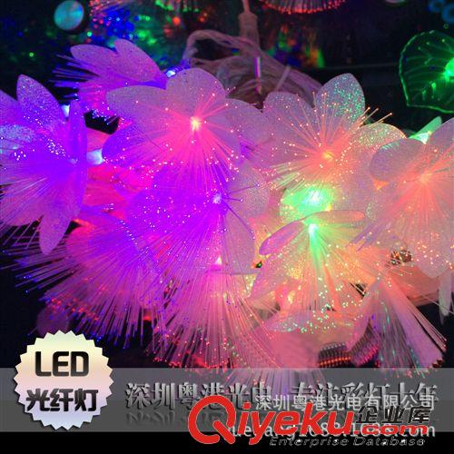 LED 10米花朵光纤灯 蝴蝶灯 圣诞老人灯