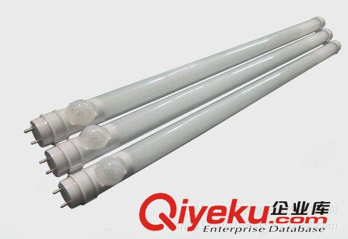 厂家直销 LED感应灯管 T8红外感应灯管 LED照明灯管
